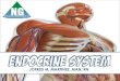 NGRTCI Endocrine System Disorders Lecture
