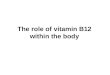 The role of vitamin-B12 within the body