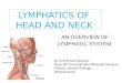 Lymph and lymphatic system