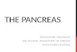 Pancreas lecture1