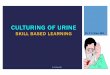 Culturing of urine, Skill based learning
