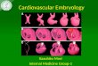 Congenital heartdiseasekazucardioembryology