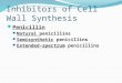 Chapter 6   inhibitors of cell wall synthesis