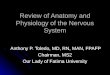 Review Of Anatomy And Physiology Of The Nervous