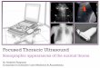 Focused thoracic ultrasound