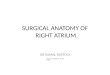 Surgical anatomy of right atrium