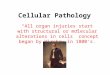 Cellular pathology
