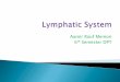 Lymphatic system2007 pps