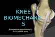 Knee biomechanic