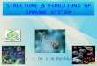 Structure & Functions Of Immune System Ii Mbbs Lect