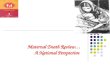 Maternal death Review- national perspective-wb-2011