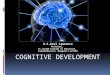 Piaget's Cognitive Development