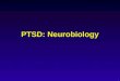PPT - Prazosin Reduces Nightmares and Other PTSD Symptomns in 