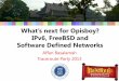 What's next for Opisboy - IPv6, FreeBSD and Software Defined Network