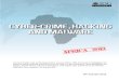 Africa 2013: Cyber-Crime, Hacking & Malware