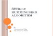 Google hummingbird algorithm ppt