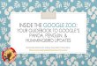Inside the Google Zoo: Your Guidebook to Google's Panda, Penguin, & Hummingbird Updates