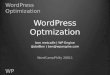 Optimizing WordPress (WordCamp Philly 2011)