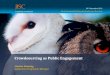 Crowdsourcing as Public  Engagement