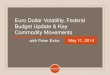 Euro Dollar Volatility, Federal Budget Update and Key Commodity Movements