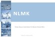 Nlmk Corporate Presentation 02.02.2011