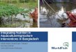Integrating Nutrition in Aquaculture/Agriculture Interventions in Bangladesh. By Shakuntala Haraksingh Thilsted, Rumana Akhter, Anna Birkmose Andersen