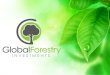Global Forestry Investments - Andrew Skeene
