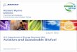 Aviation and Sustainable Biofuel