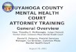 Mental Health Developmental Disability Court Attorney Training