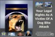 Utah Dog Bite Personal Injury Attorney St George Salt Lake City Utah Accident Lawyer California Law Firm