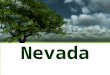 Nevada Estate Planning Primer