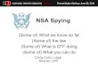NSA Mass Spying and the Law