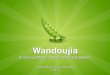 Wandoujia business plan