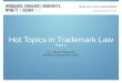 Hot Topics in Trademark Law – Part 1