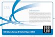 CSS Salary Survey & Market Report 2012