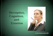 Negotiation: Perception, Cognition & Emotion