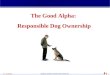 The Good Alpha. Responsible Dog Ownership