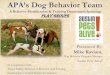 Large dog behavior