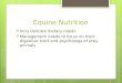 Session 11 horse_nutrition