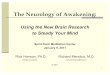 The Neurology of Awakening: Using the New Brain Research to Steady Your Mind
