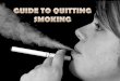 Guide to Quitting Smoking