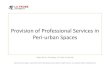 Burns_E_Provision of professional services in peri-urban spaces