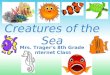 Creatures of the Sea Presentation