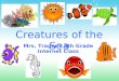 Week 8 Sea Creatures Presentation