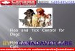 Flea and Tick Control for Dogs and Cats