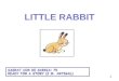 Ppt06 little rabbit 2010