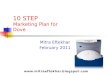 10 step-marketing-plan-dove-mitra-eftekhar
