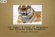 The Tiger Essay BluePrint