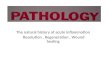 Pathology  lab 6   the natural history of acute inflammation