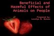 Harmful&Beneficial Effect Of Animals Grade 4